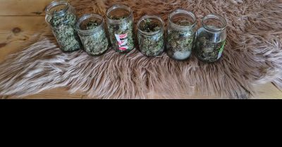 Młody mężczyzna aresztowany po zabezpieczeniu ponad 250 g marihuany